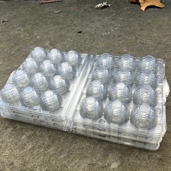 Quail Egg Cartons, 7 cartons, each carton holds 12 Eggs, Snap Close, Plastic - Picture 3 of 4